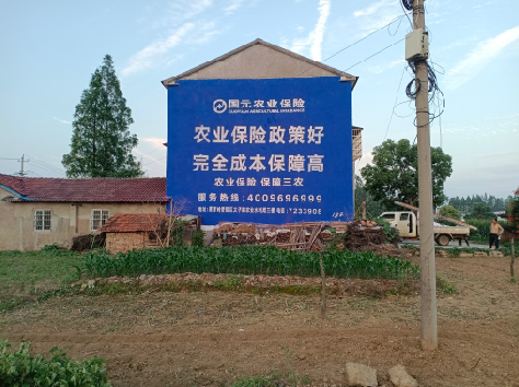 舒城墙体广告的优劣势你知道吗？