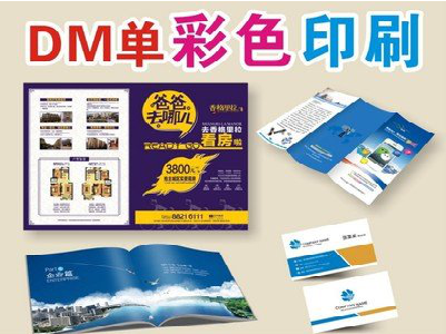舒城单页印刷，色彩搭配简单。